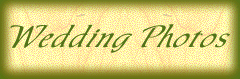 Wedding Photos